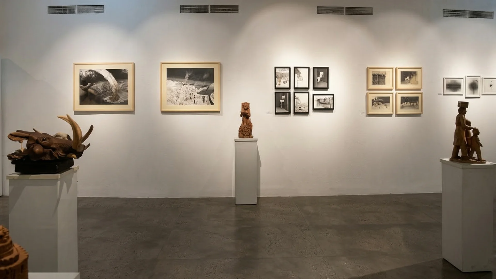 Janus Gallery Preview