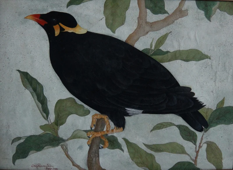 Bird