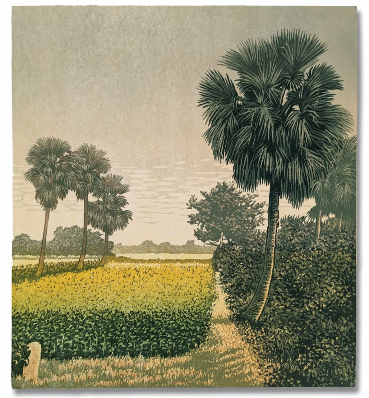 Kopai