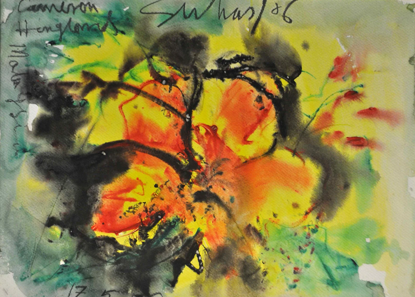 Untitled 2