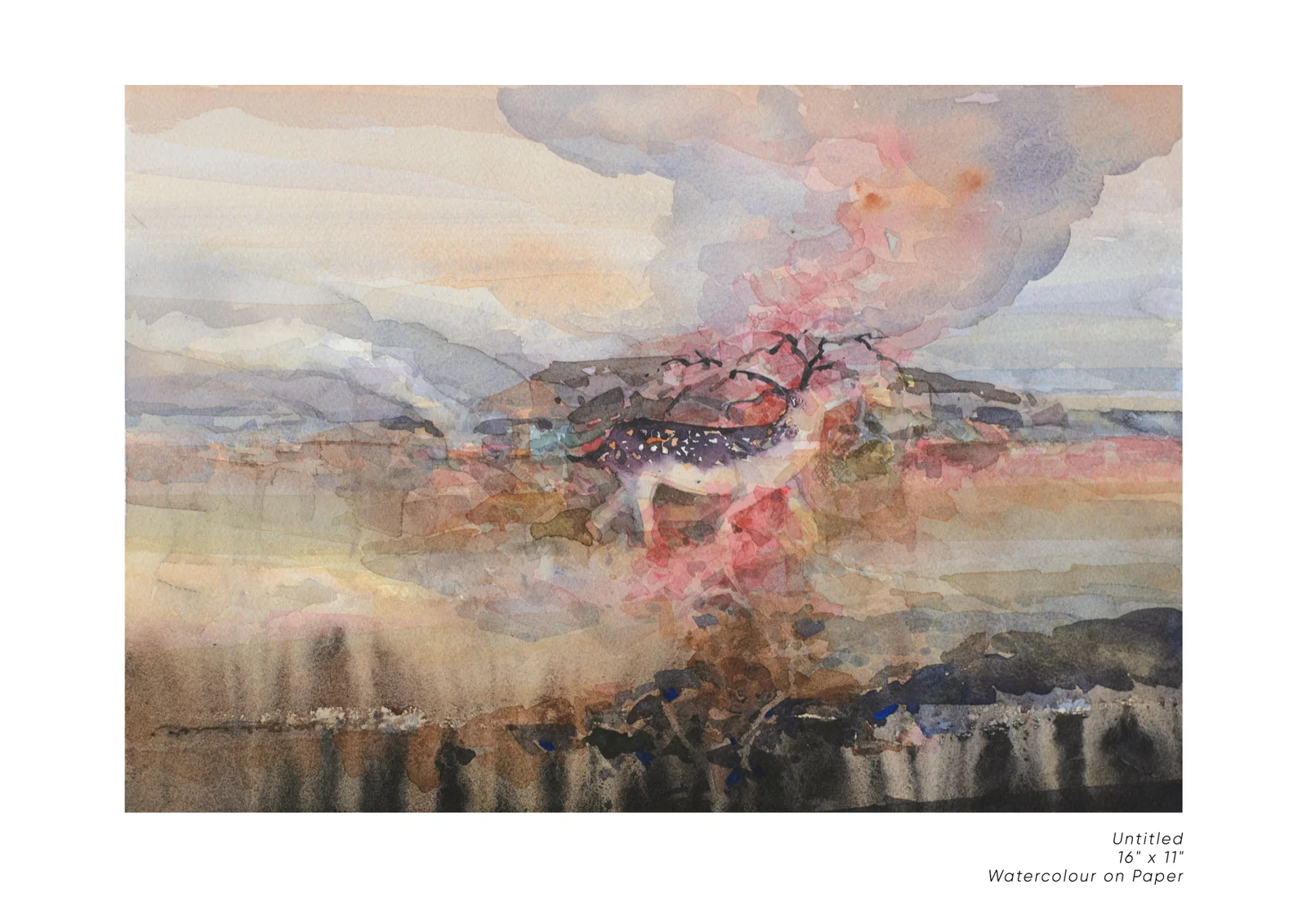 Untitled 8