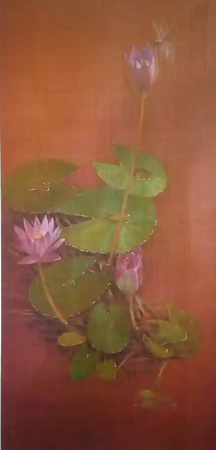 water lilly lll