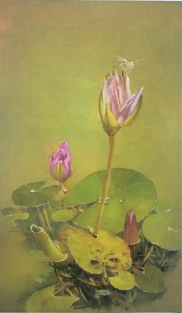 Water Lily iv