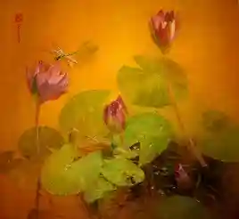 waterlilly V